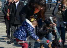 Baku residents bringing flowers to Seaside Boulevard to honor missing oil workers.  Azerbaijan, Dec.07, 2015